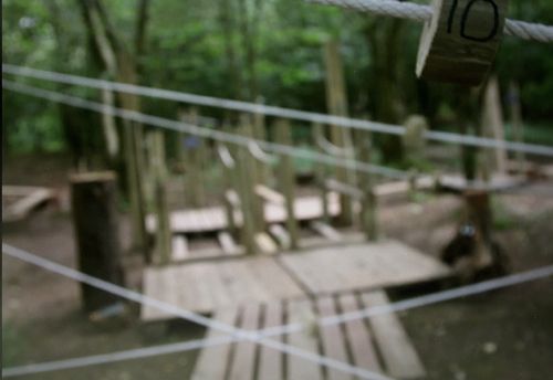 Low Ropes Escape