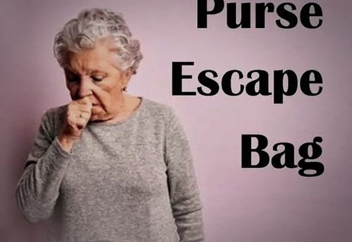 Grandma's Purse