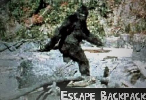 The Hunt for Bigfoot