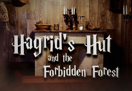 Hagrid's Hut And The Forbidden Forest