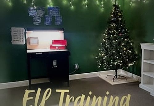 Elf Training Academy