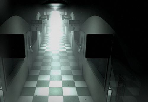 Asylum