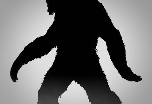 Search For Bigfoot