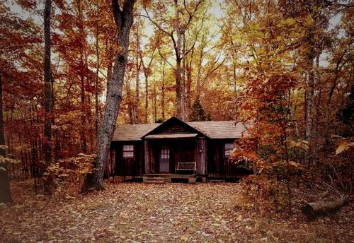 Psycho Murder Cabin