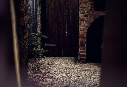 Der Märchenwald