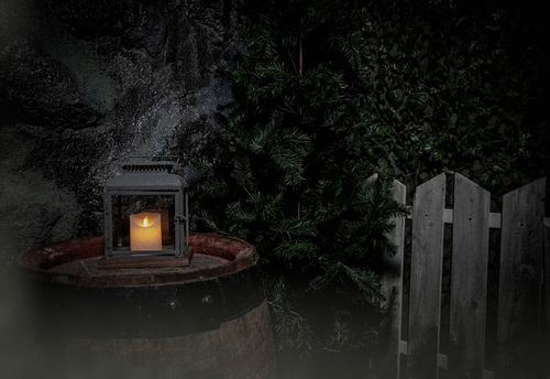The Girl In The Woods