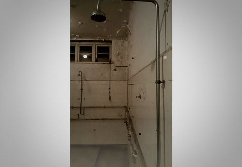 The Shower