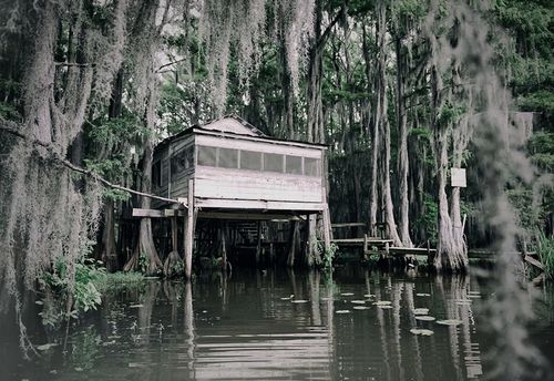 Swamp House