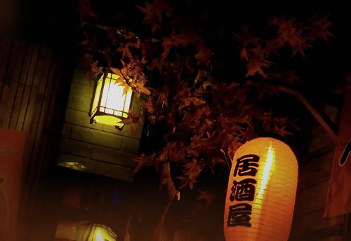 The Collector of Kyoto