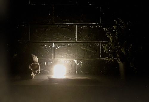 SCP-6112 The Eight-Legged Ritual