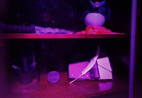 Magic & Mystery