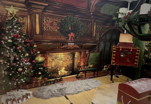 Holiday Rescue