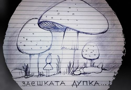 Rabbit Hole