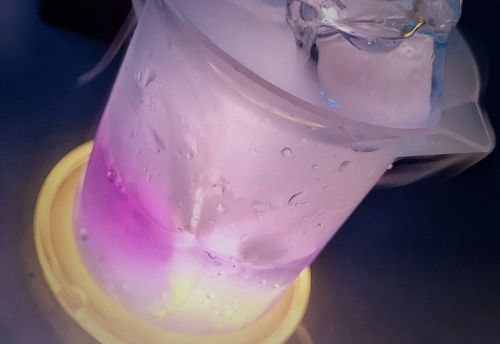 Avora: Immersive Cocktail Experience