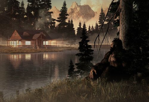 The Midnight Cabin