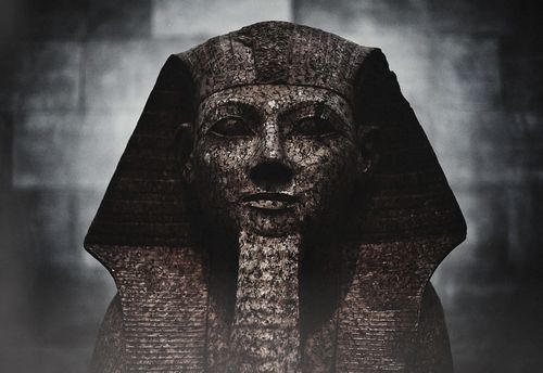 The Curse Of Humanrah