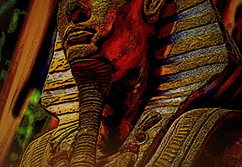 The Pharaoh's Curse