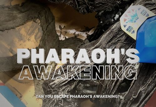 Pharaoh's Awakening