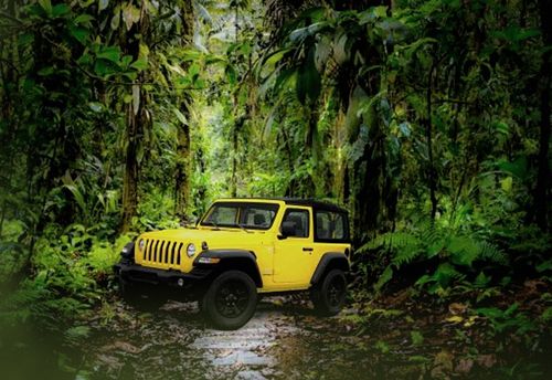 La Forêt Amazonienne
