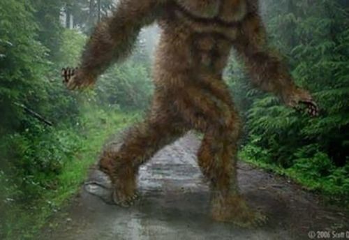 Tracker