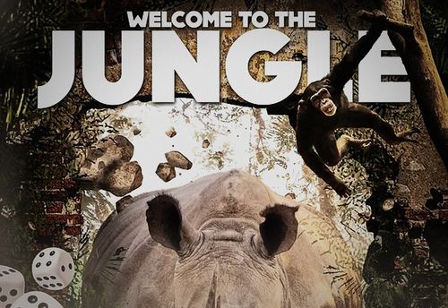 Welcome to the Jungle...