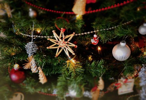 The Oswalds' Family Christmas