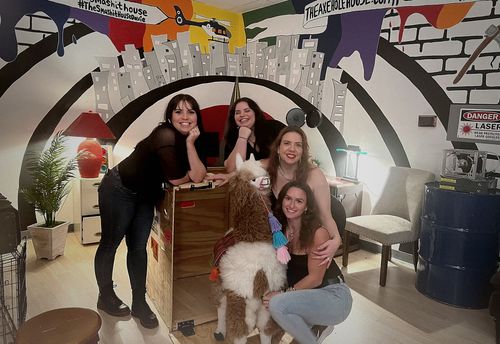 Rescue the President's Pet: Iron Fist Escape Room