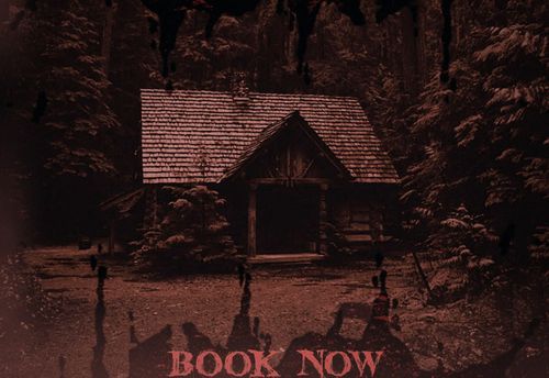 The Cabin