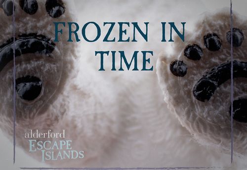 Frozen in Time