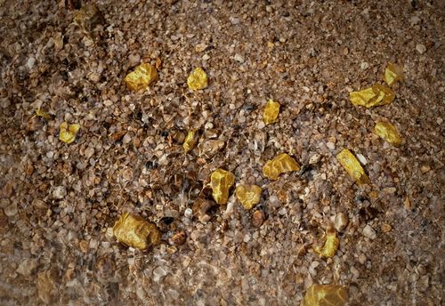The Gold Rush Trail Quest