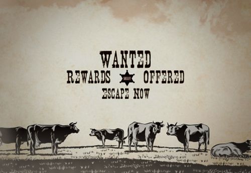 Wild West Escape Game