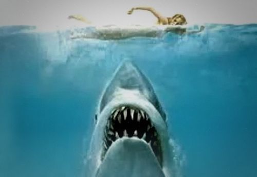 The Jaws Experience