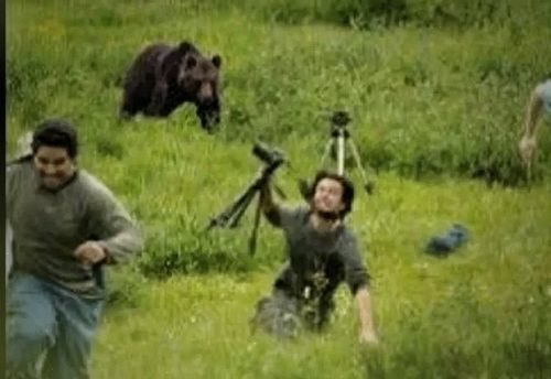The Grizzly Room