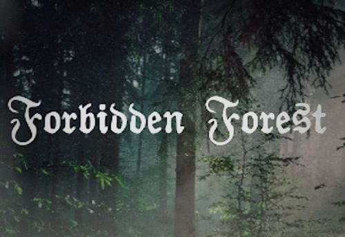 Forbidden Forest