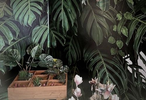 Botanica