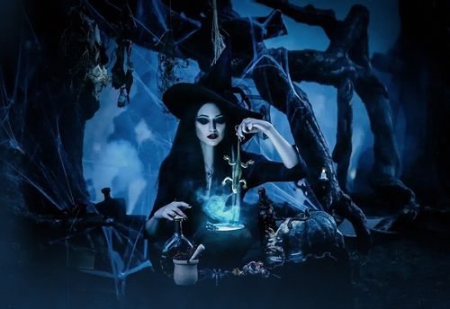 Witch Of The Enchanted Forest