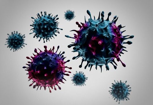 Virus: L'Antidote de l'Humanité
