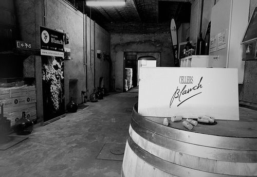 Blanch Cellars