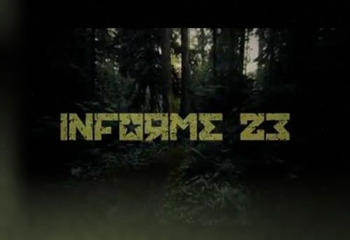 Report 23