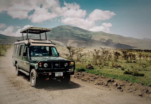 Safari dans la jungle