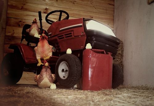 Animal Farm