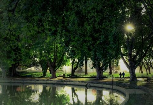 The King's Park