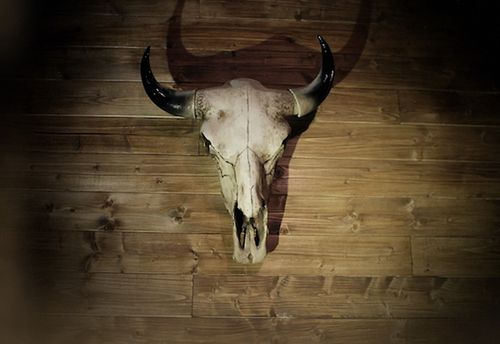 The Saloon