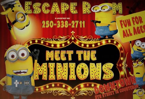 Meet the Minions