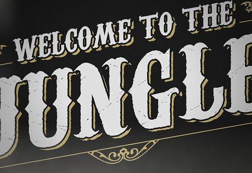 Welcome to the Jungle