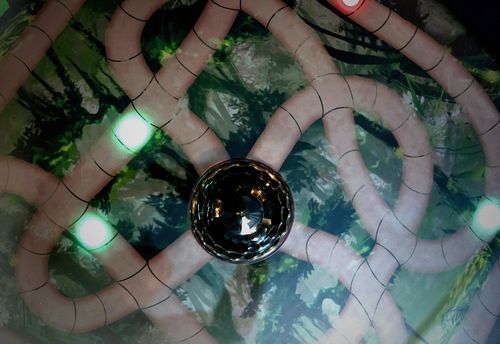 The Jungle Game