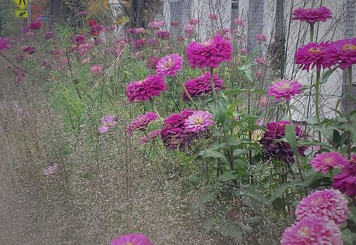 Escape Manchester