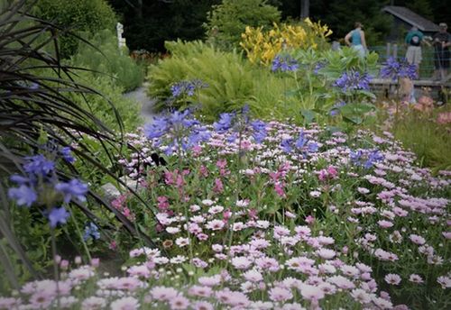Escape The Garden