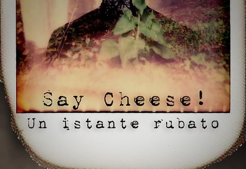 Say Cheese!