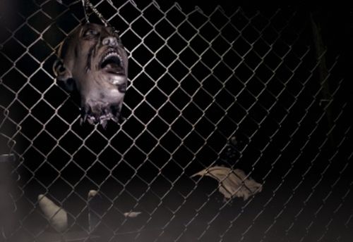 Apocalypse Zombie